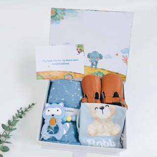 Tiny Explorer Baby Gift Set